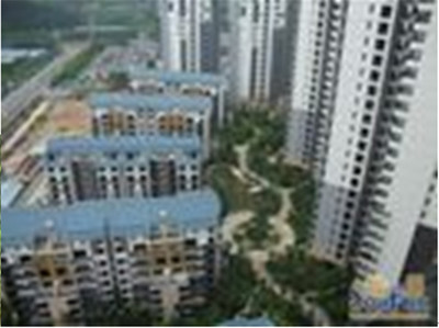 東莞珠佳房地產 專業房地產代理服務，助力投資與登記無憂